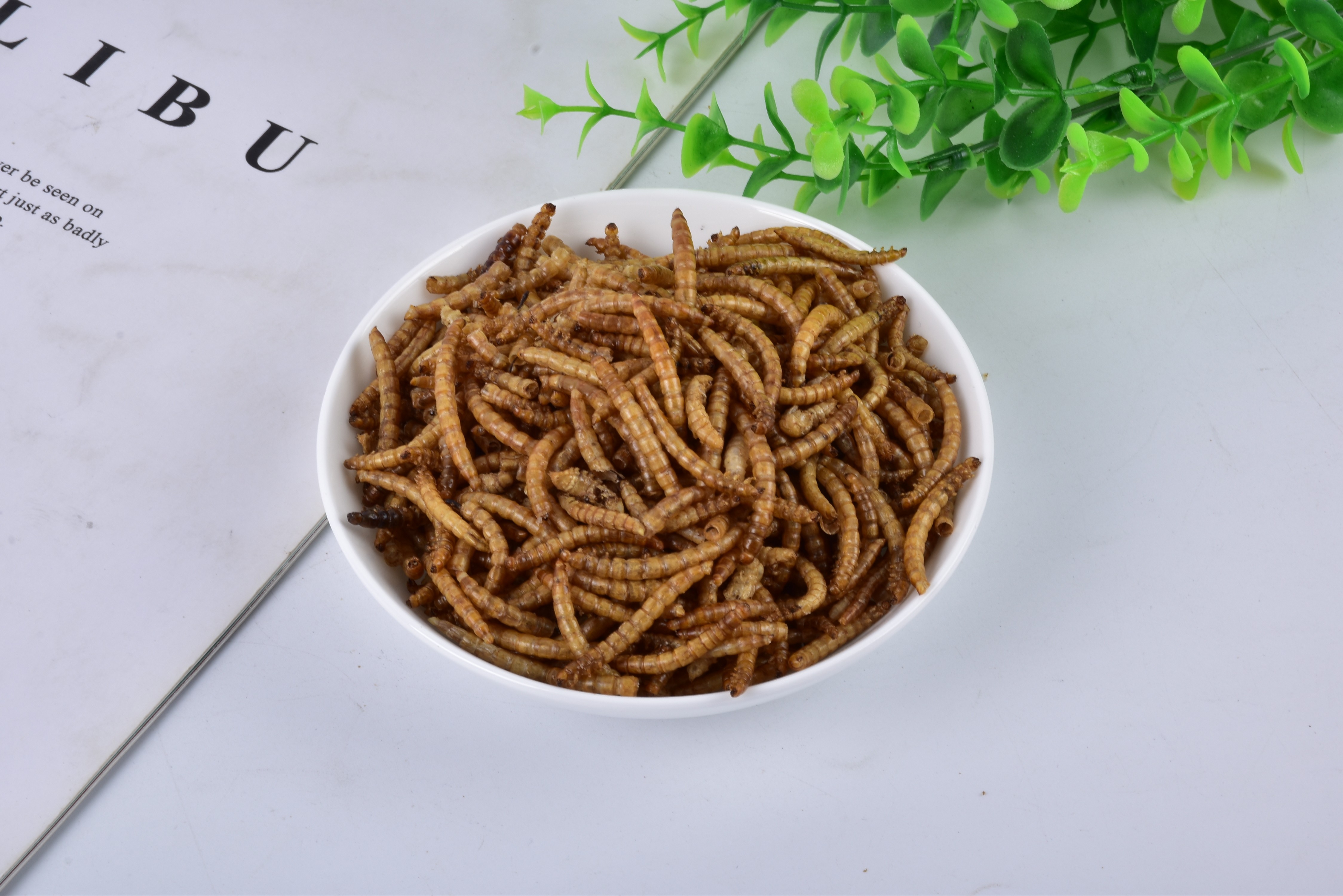 [SINO CROWN]Popular protein fish meal feedchile feed additive Insects Powder Fish Meal Dried Mealworms Powder As Fish
