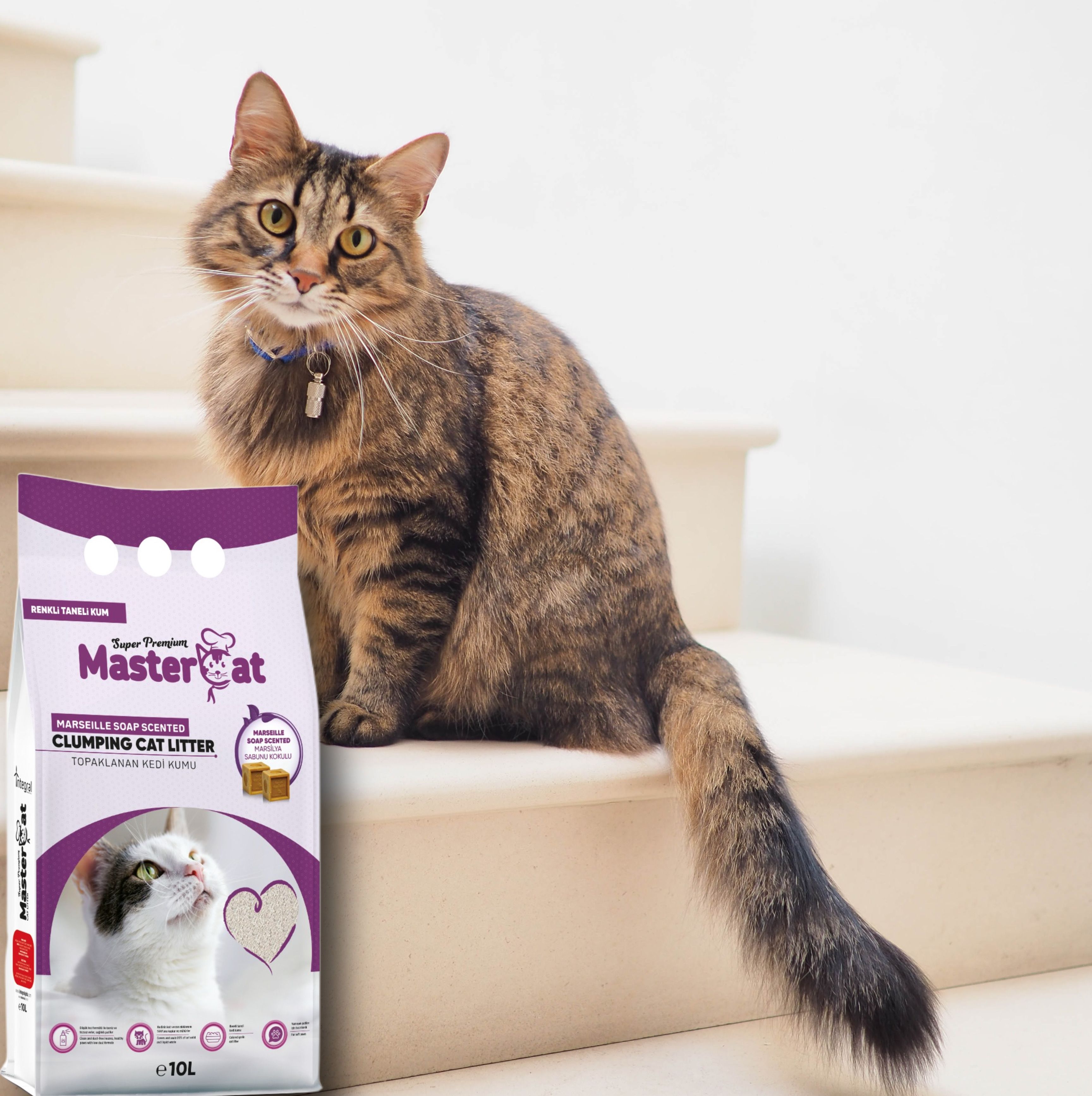 High Quality 10L MasterCat Sand Bentonite Cat Litter Box with Fast Clumping Marseille Soup Scent Wholesale for Cats