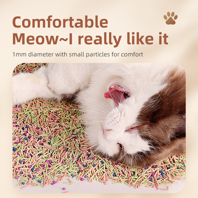 Wholesale Sanitary Sand Rainbow Multiple Color Tofu Cat Litter