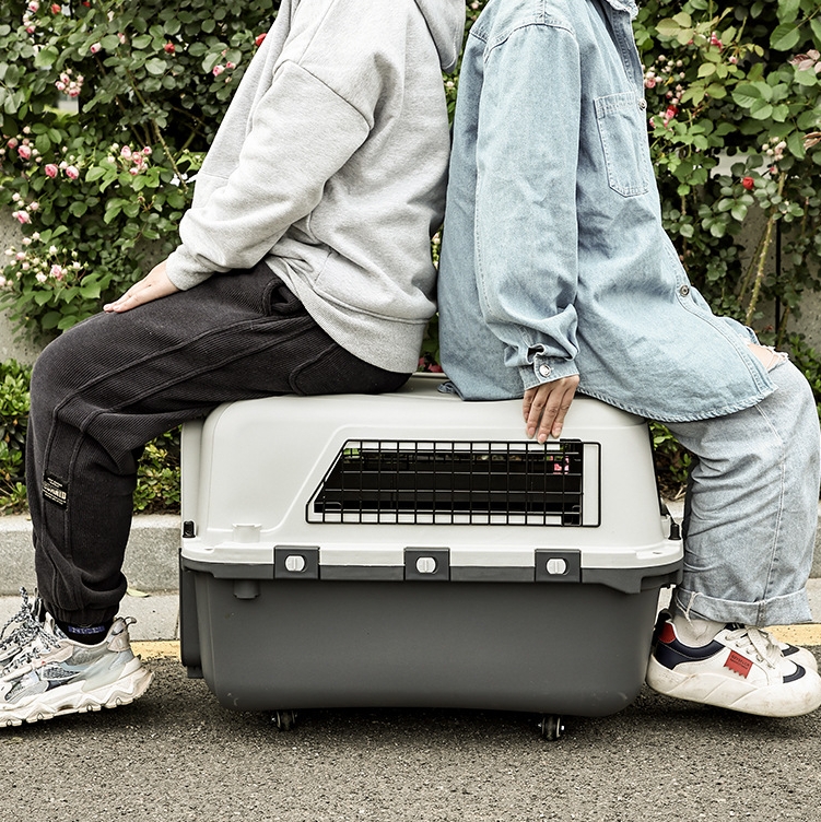 The new multi-style pet carrier can be detachable