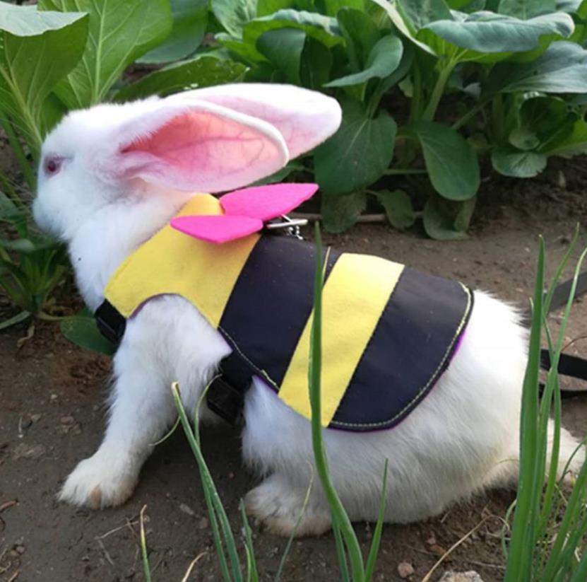 Cute Bee Shape Rabbit Vest Harness Small Pet Hamster Cat Harness Leash Strap