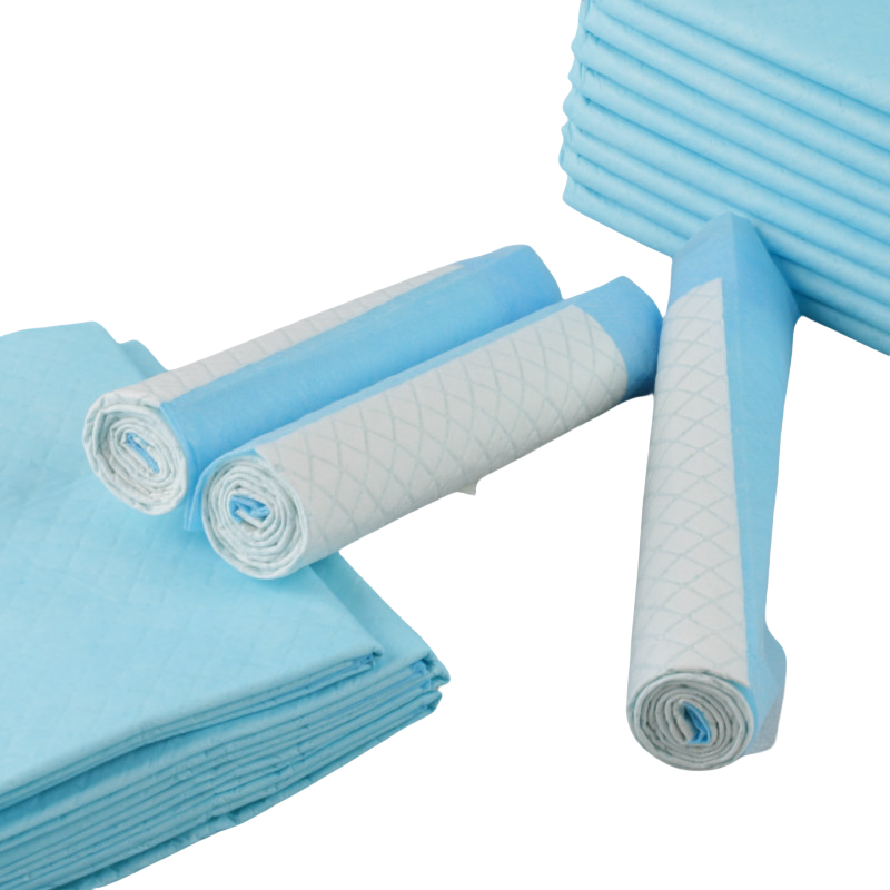 Indoor Pet Urine Absorbent Training Pee Pads Nappies for Animals Thick Deodorizing Dog Diaper with Printed Feature