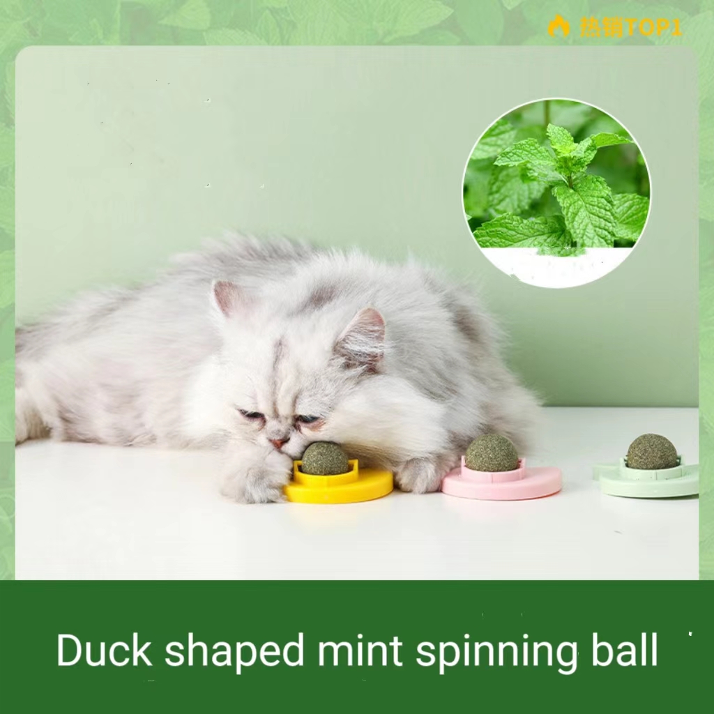 Catnip Balls,Natural Energy Boosters for cats Teeth & Gum Health,Healthy Dental Care & Fun Interactive Play Toys
