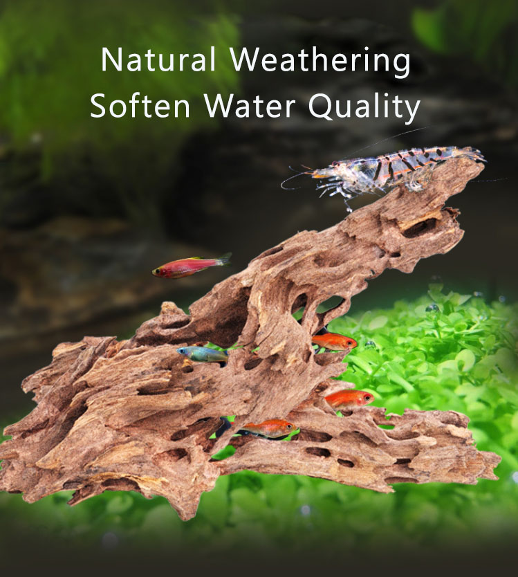 SHANDA Natural Sunken Wood Shrimp Wood Hollow Shrimp Nest Shelter Fish Tank Landscaping
