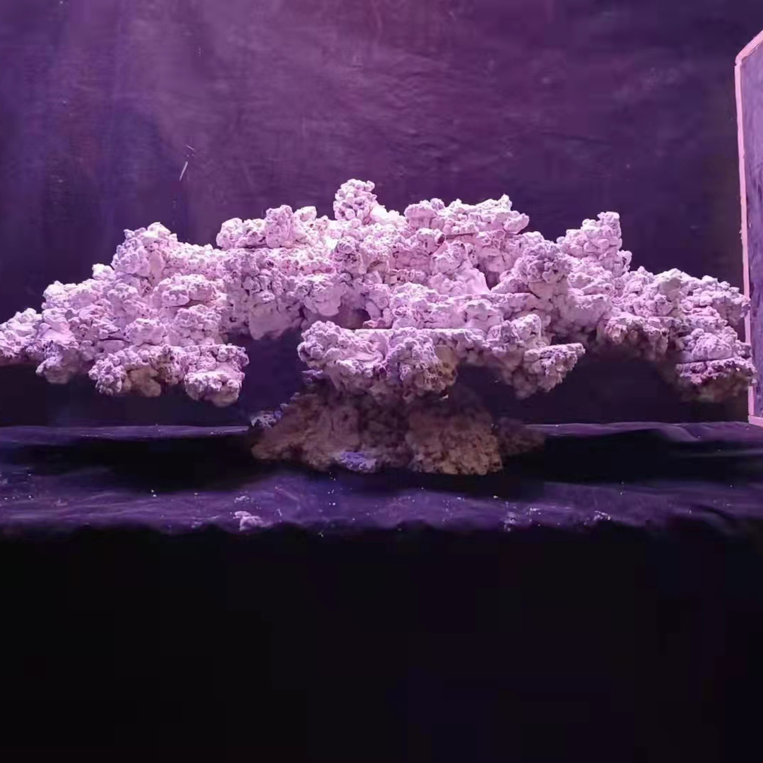 Custom Made Landscape Artificial Aquarium Reef Rock Stone for Saltwater Fish Tank