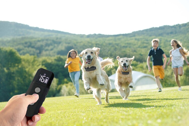 New Product Ideas 2022 Dog Training Equipment Magnetic Charging Remote Electric Dog Training Collars for 2 Dogs
