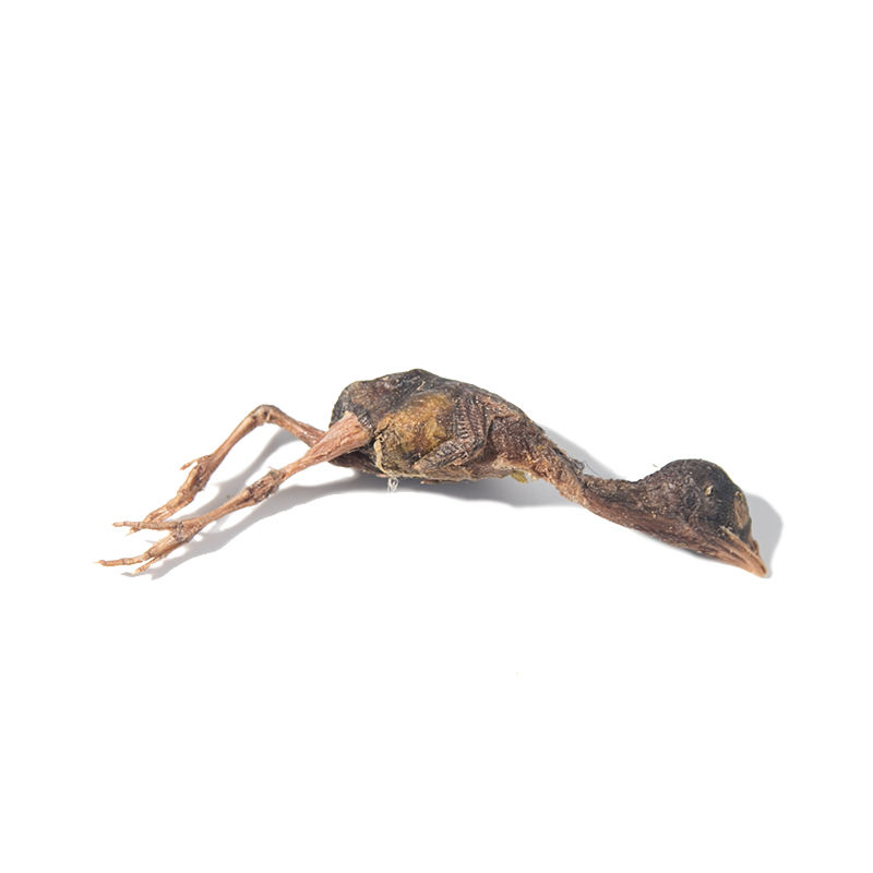 Bulk Wholesale Freeze Dried Chicken Freeze Dry Pet Food Freeze Pet Food Dog Treat Cat Treat