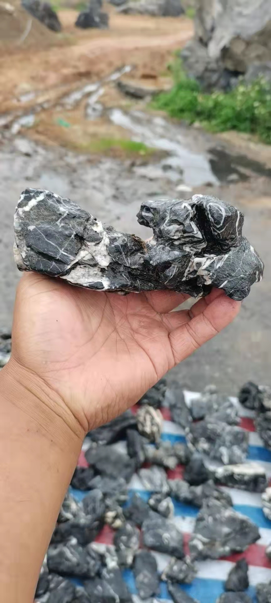 10-30cm acid washed seiryu dragon fish tank stone for for Paludarium Aquascape