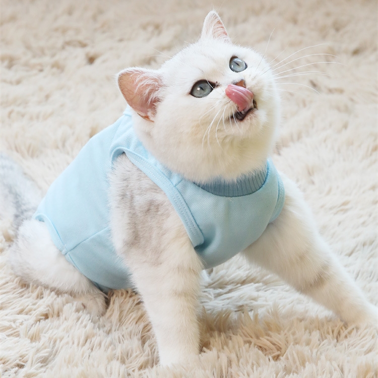 Wholesale Custom Light Pink Blue Yellow Cotton L Size Anti Licking Pet Cat Surgical Sterilization Recovery Suit