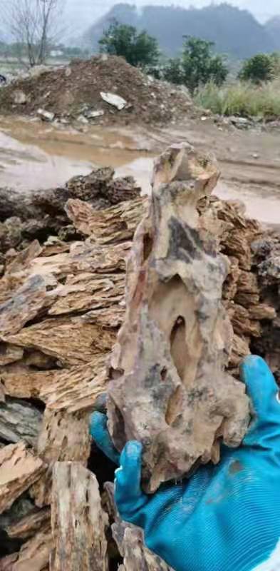 Seiryu Stone Aquarium Landscaping Decoration Water Wash Blue Dragon Stone Aquarium Landscaping Stone