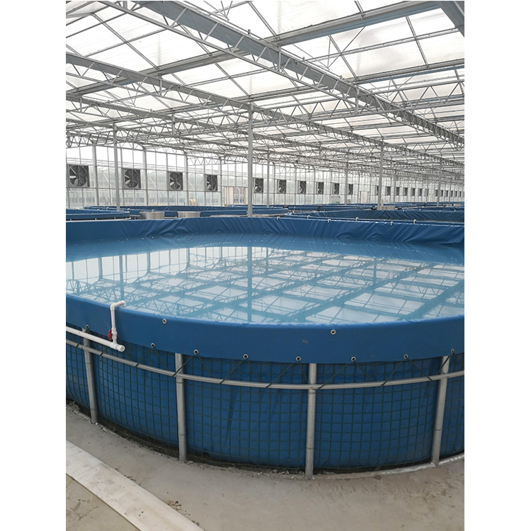 Best Selling Custom dimensions tarpaulin 1000 gallon commercial big fish tank