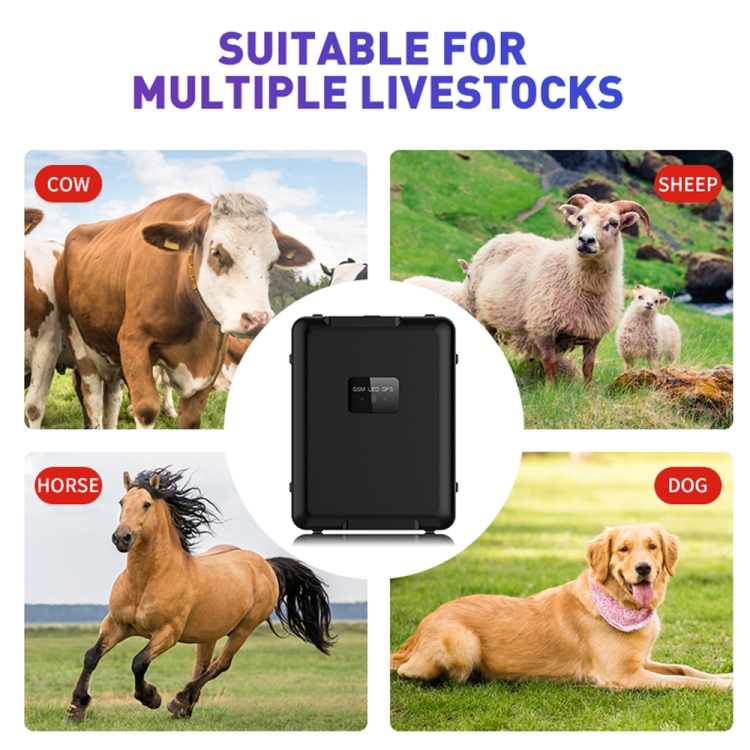 Multifunctional Waterproof V55 20000mAh animal pet dog cow Livestock Locator 4g long standby smart gps tracker locator