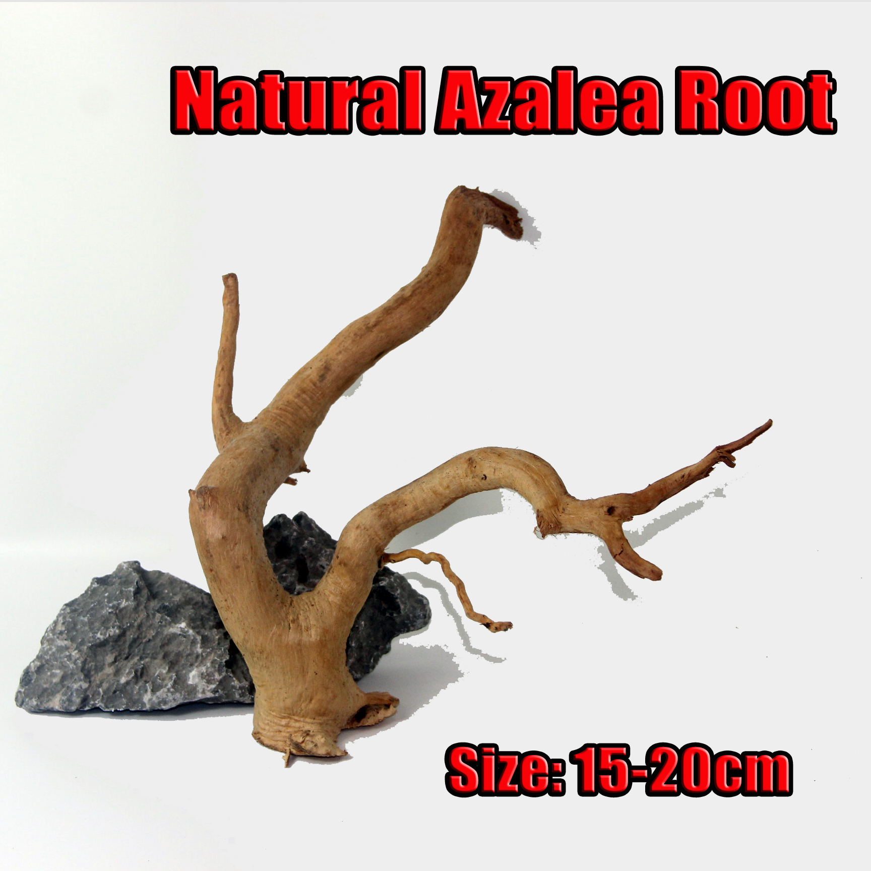 Azalea Root SHANDA aquarium accessories Aquarium Natural Root decoration for plant