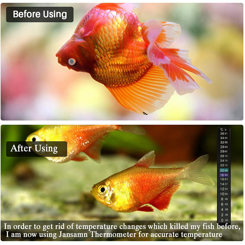 LCD Stick on Digital Thermometer Aquarium Water Thermometer Sticker Strip Adhesive Fish Tanks Accessories 0 to 36 Degree Measure