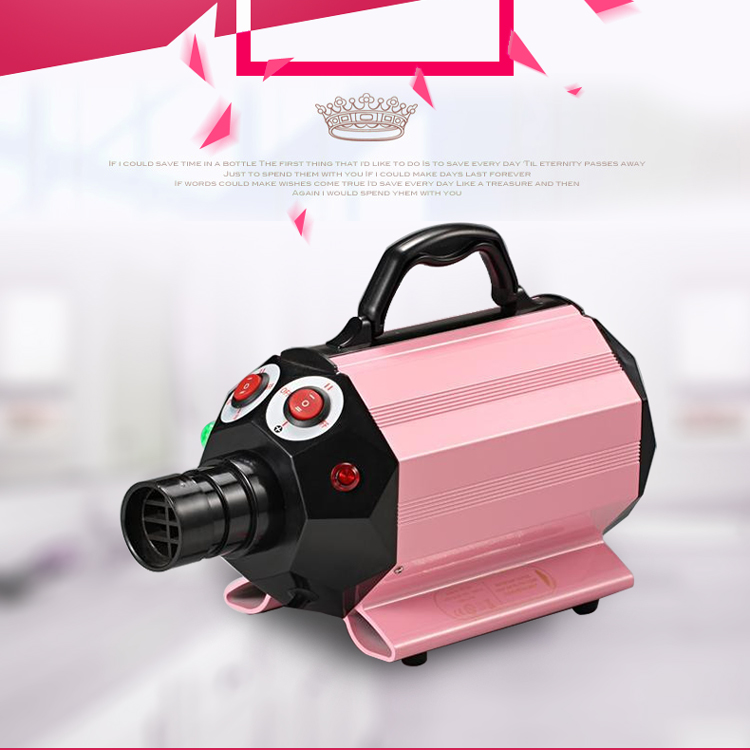 Wholesale Variable High Speed Portable High Power Pet Hair Dryer High Quality Small Animal Body Blower Dryer For Dogs And Cats