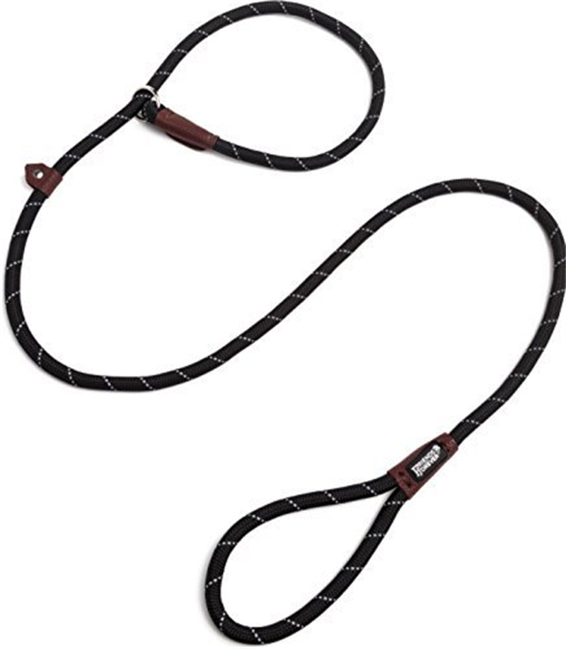 Extremely Durable Dog Leash Premium Quality Mountain Climbing Rope Lead Dog Leash For Walking Dog