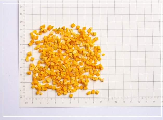 odm OEM factory wholesale pet food added nutrition supplement dehydrated vegetables 5*5*5mm freeze-dried pumpkin diced
