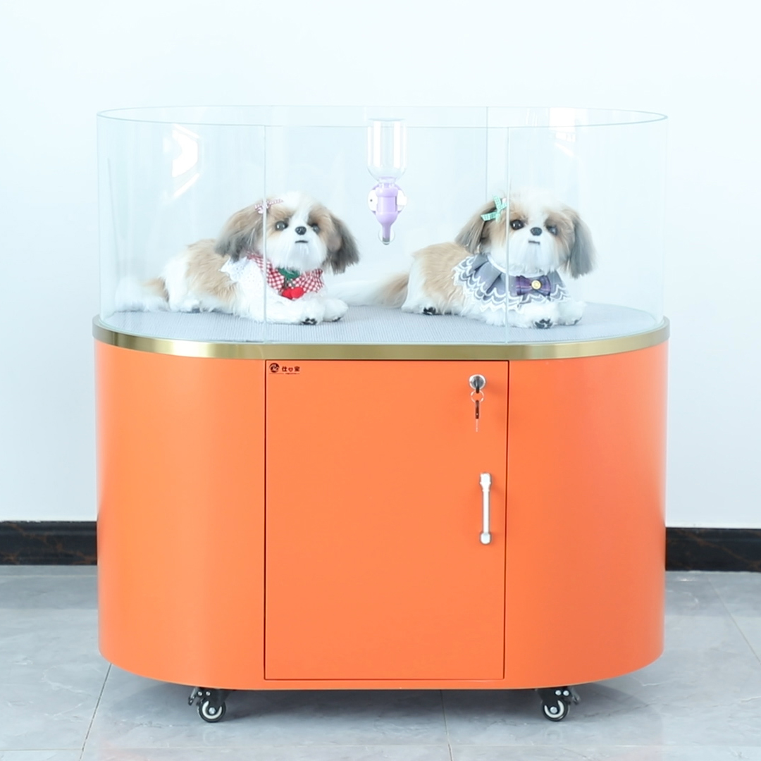 Pet Dog Store Small Dog Selling Board Kennel Dog Showing Platform in Glass