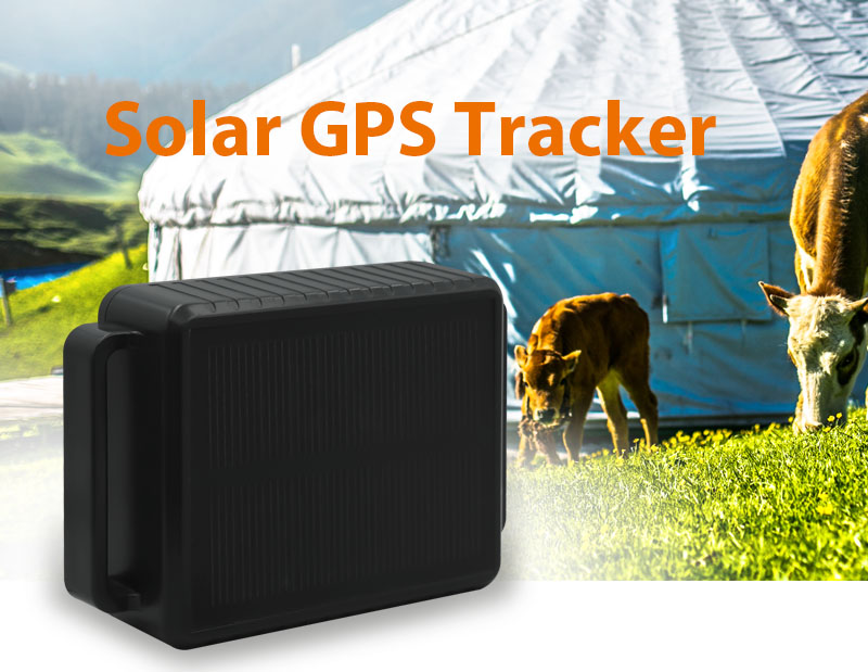 Solar Power Tracking Device Pet Tracker Gps Charger Livestock Cattle Big Animal Cow Collar Electric Devices Guangdong