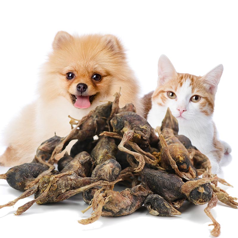 OEM ODM Factory Wholesale Natural High Protein Snacks Freeze Dried Quail for Cat Dogs Toy Chews Food