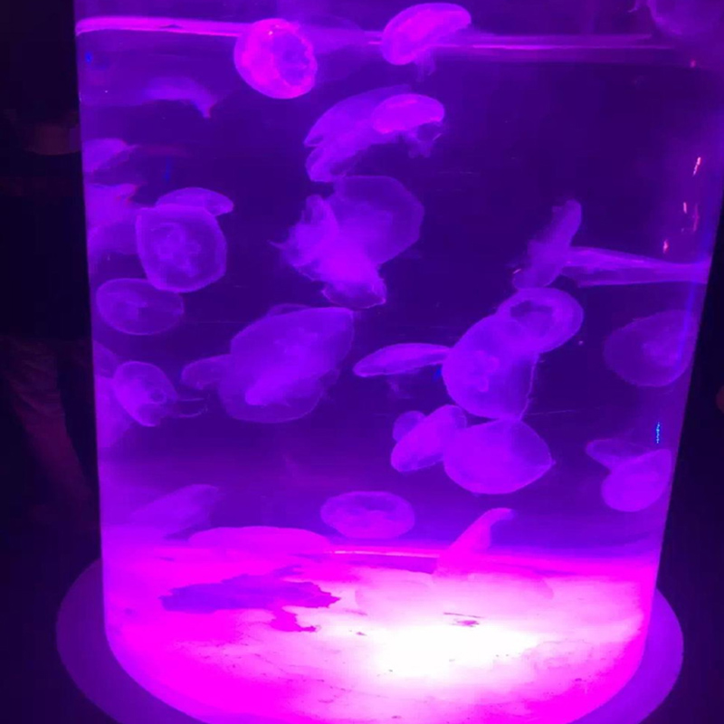 Hot sale factory wholesale direct price Large Cylinder Acrylic Fish Aquarium For Sale