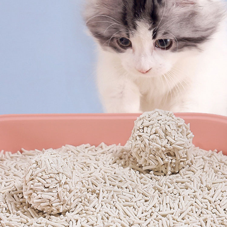 Wholesale Price Custom Cat Litter Green Tea Tofu Fresh Scented Premium Bentonite Cat Litter Bulk