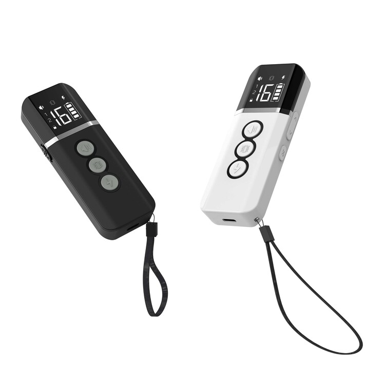 New Product Ideas 2022 Dog Training Equipment Magnetic Charging Remote Electric Dog Training Collars for 2 Dogs