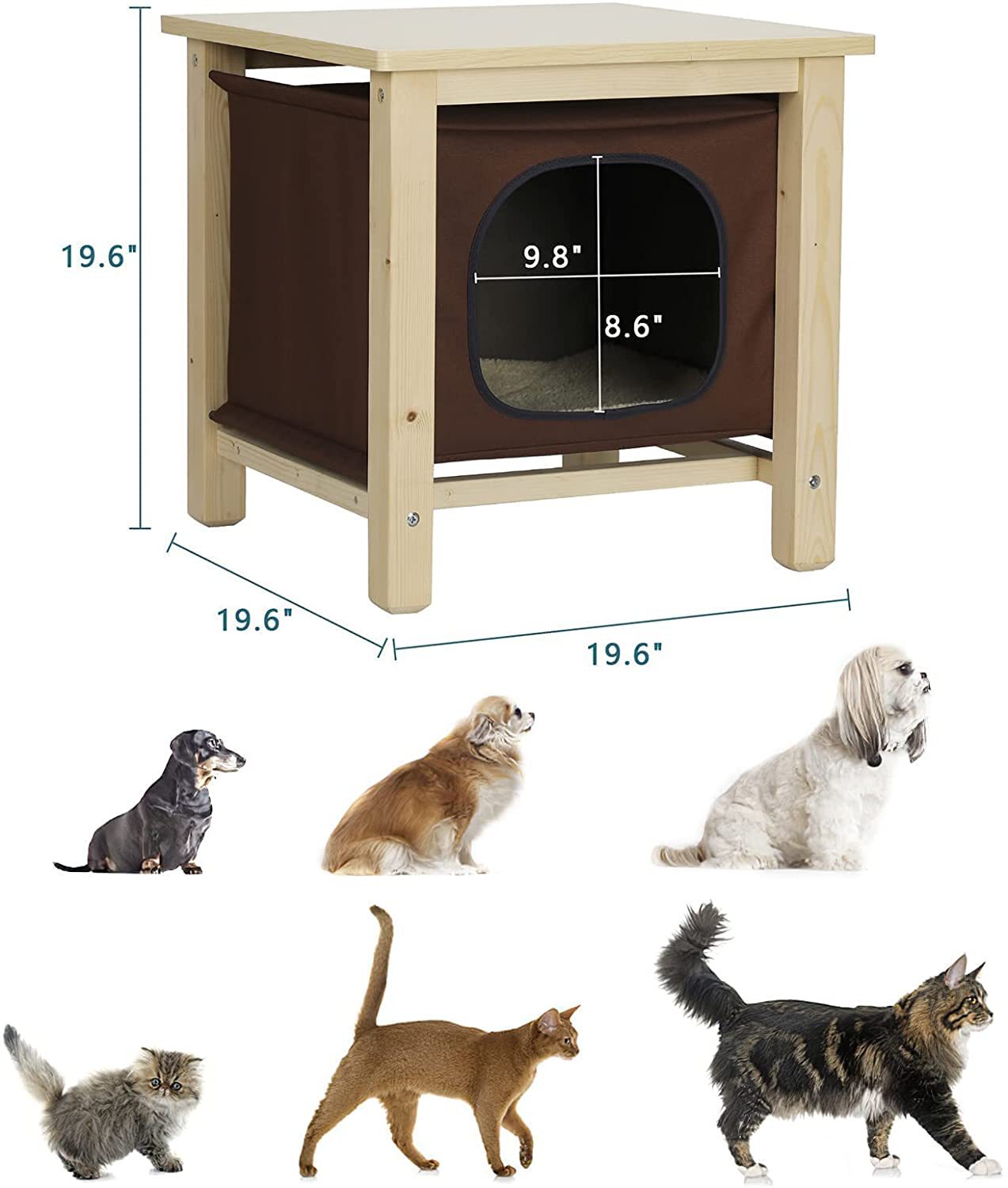 People and pets share pet supplies on the bedside table of the indoor cat room