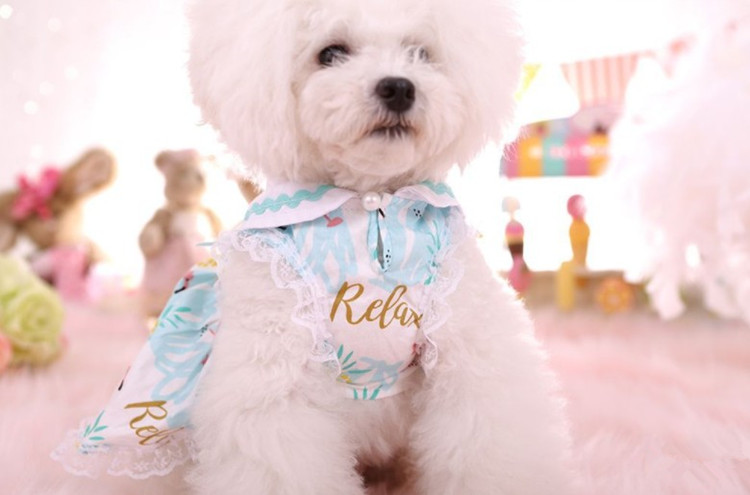 Heyri Pet Supplies Spring summer flamingo pet dog doll skirt clothes sweet romantic princess pet puppy dog dress clothes