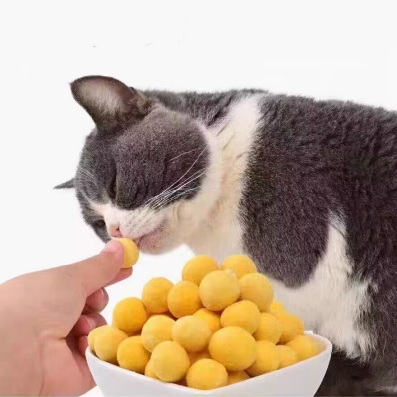 Wholesale Cat Treats Freeze Dried Eggs Yolk For Cat and Dog Freeze Dried Pet Food