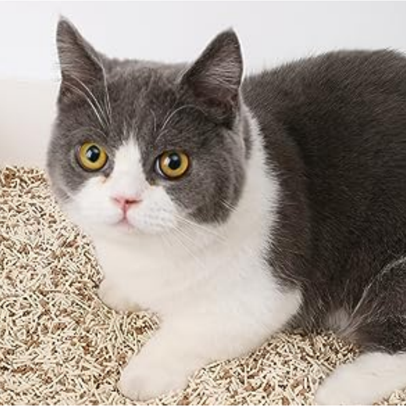 Flushable Odor Free Ultra Absorbent and Fast Drying Mixed Tofu Cat Litters Sand
