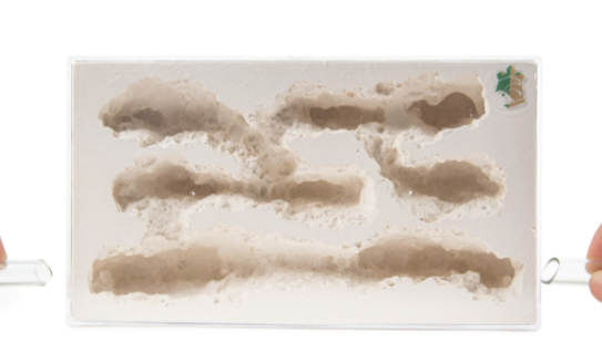 Ant Farm Ant Cave Home Gypsum Nest Table Decor Cavern