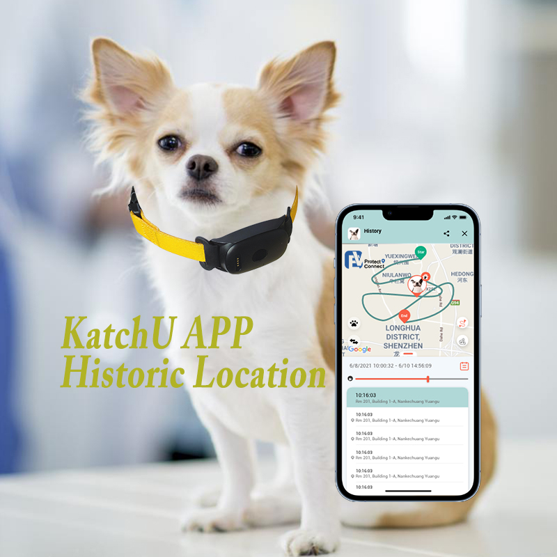 4G GPS Tracker for Dogs , 4G GPS Pet Tracker Collar, Mini GPS Pet Tracking Device