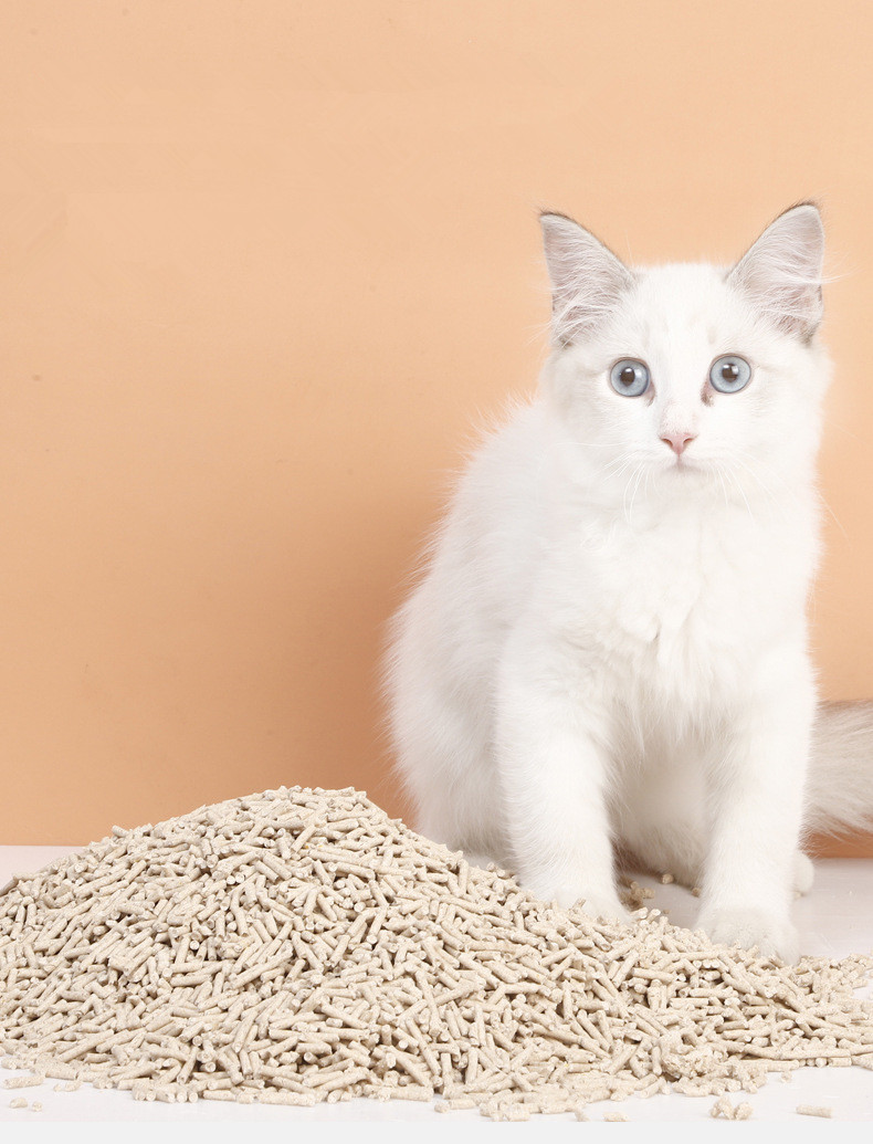 China top seller 2024 cat litter sand high quality tofu cat litter pets new inventions tofu cat