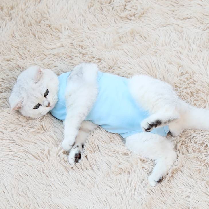 Wholesale Custom Light Pink Blue Yellow Cotton L Size Anti Licking Pet Cat Surgical Sterilization Recovery Suit