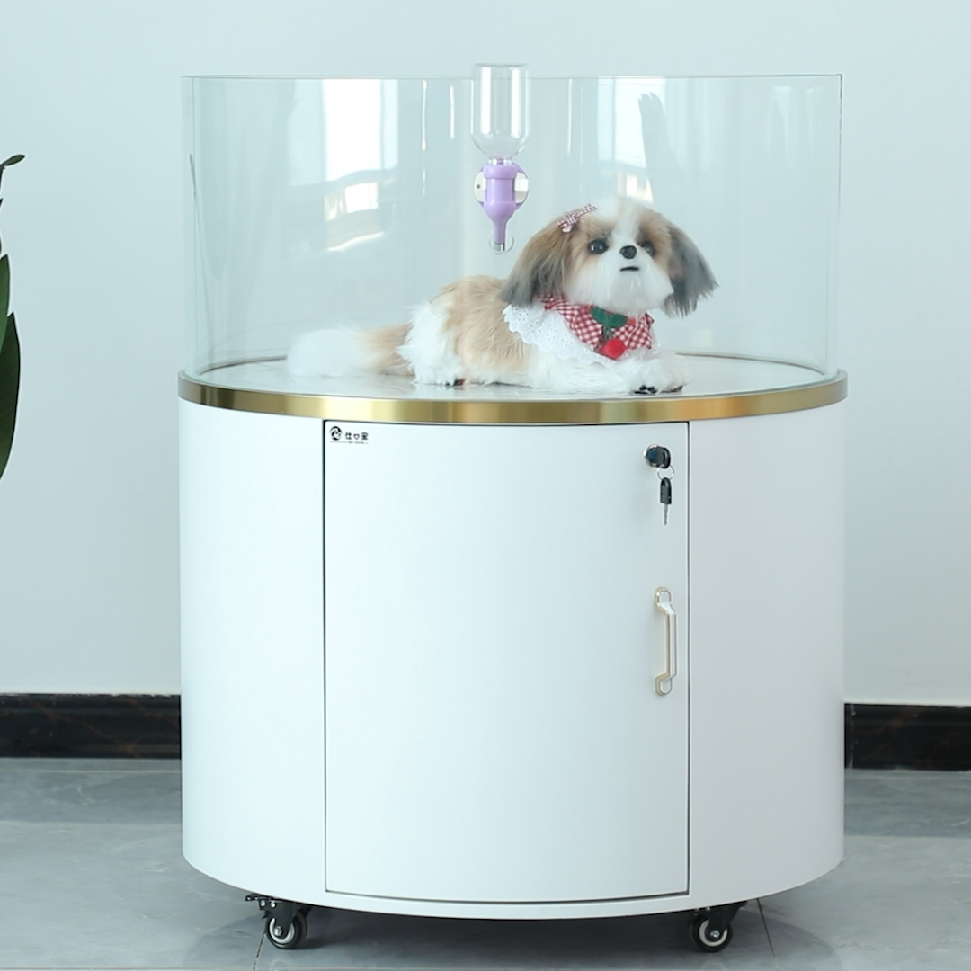 Pet Dog Store Small Dog Selling Board Kennel Dog Showing Platform in Glass