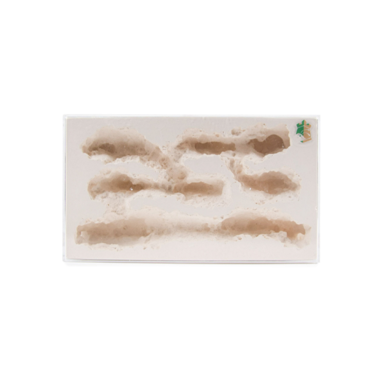 Ant Farm Ant Cave Home Gypsum Nest Table Decor Cavern