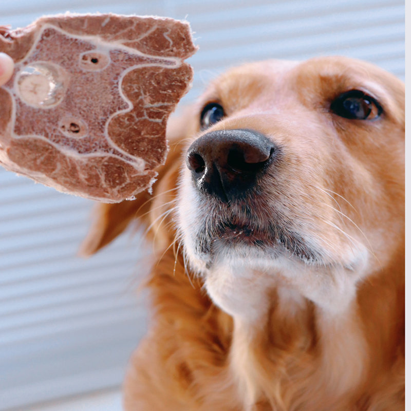 Wholesale freeze-dried pet food Dog treats Freeze-dried deer neck Freeze-dried treats for pets Cat treats cat snacks