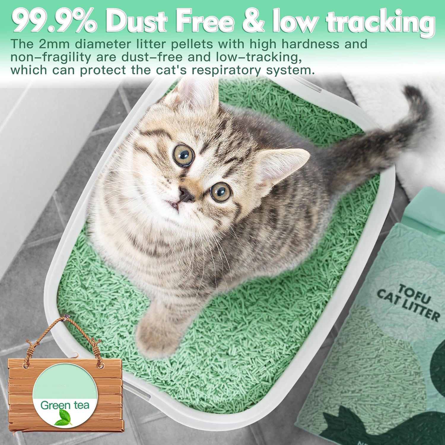 Malaysia Brand Best Clean Deodorant Tofu Clumping Cat Sand World's Low-Priced Cat Litter Suppliers