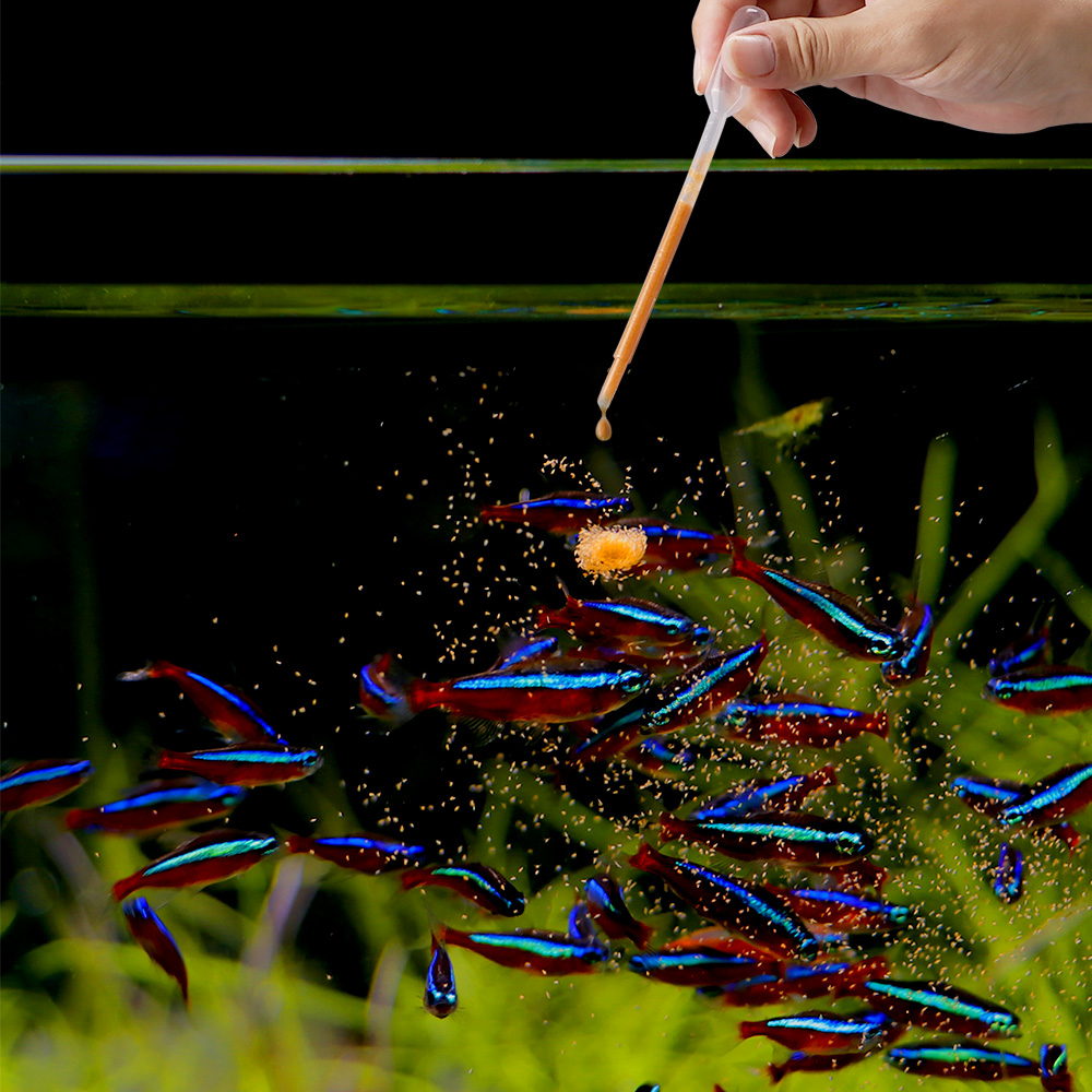 UUIDEAR Artemia brine shrimp hatchery kit