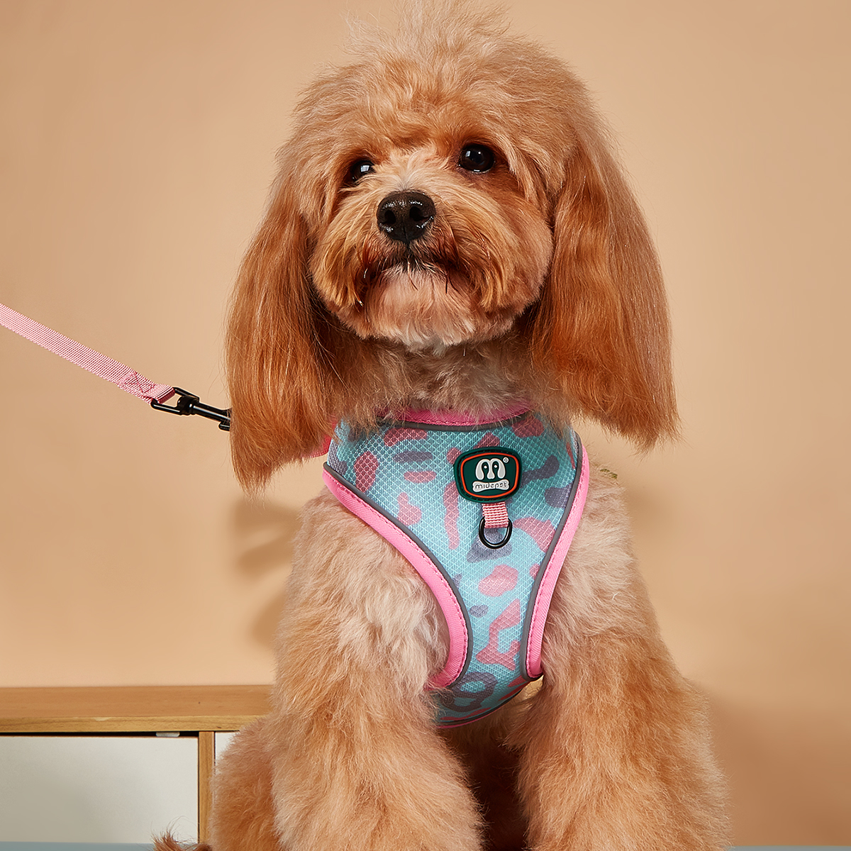 MIDEPET Own Brand In Stock Drop Shipping Accept Pet Product Supplier Dog Harness And Leash Set