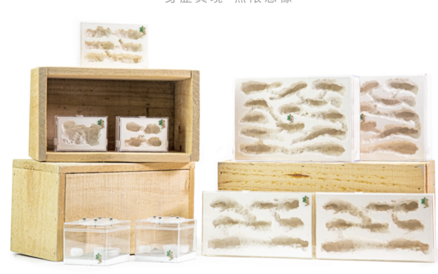 Ant Farm Ant Cave Maze Rock Cave Nest Decorations for Home