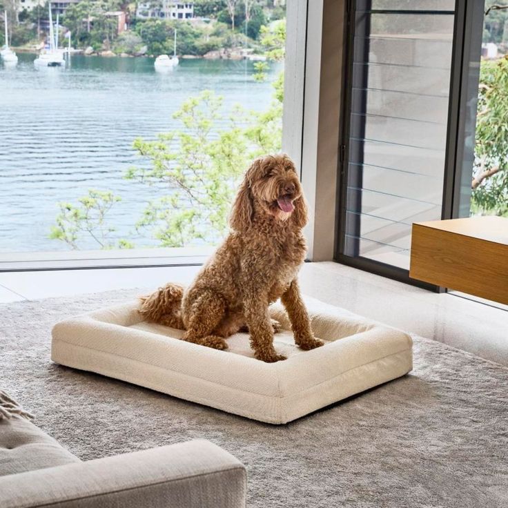 Thick Warm Orthopedic Memory Foam Dog Bed Waterproof Non-Slip Removable Cover Velvet Pet Mat with Animal Pattern
