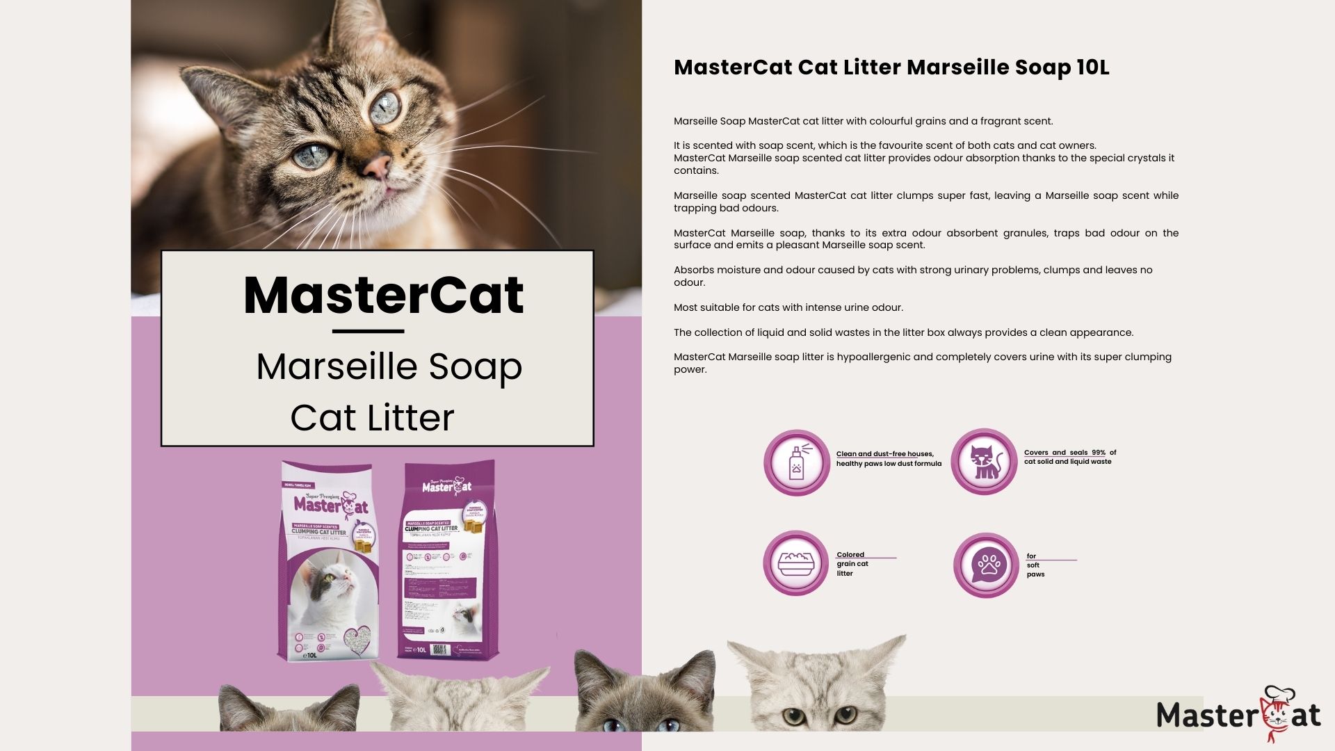 Wholesale MasterCat Sand High Quality 10L Bentonite Cat Litter Fast Clumping Marseille Soup Scented for Cats