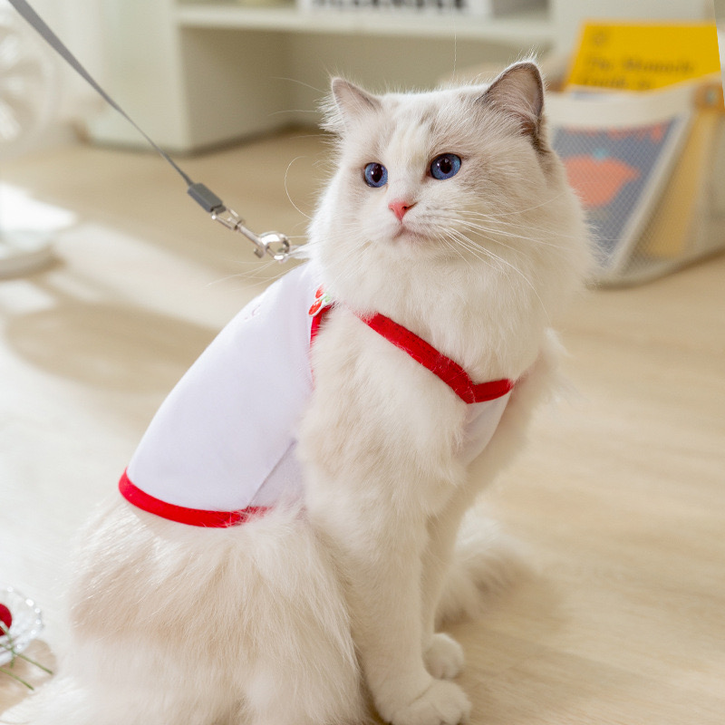 Towable pet clothes spring and summer cute fruit camisoles cat two-legged puppy dog cat clothing wholesale