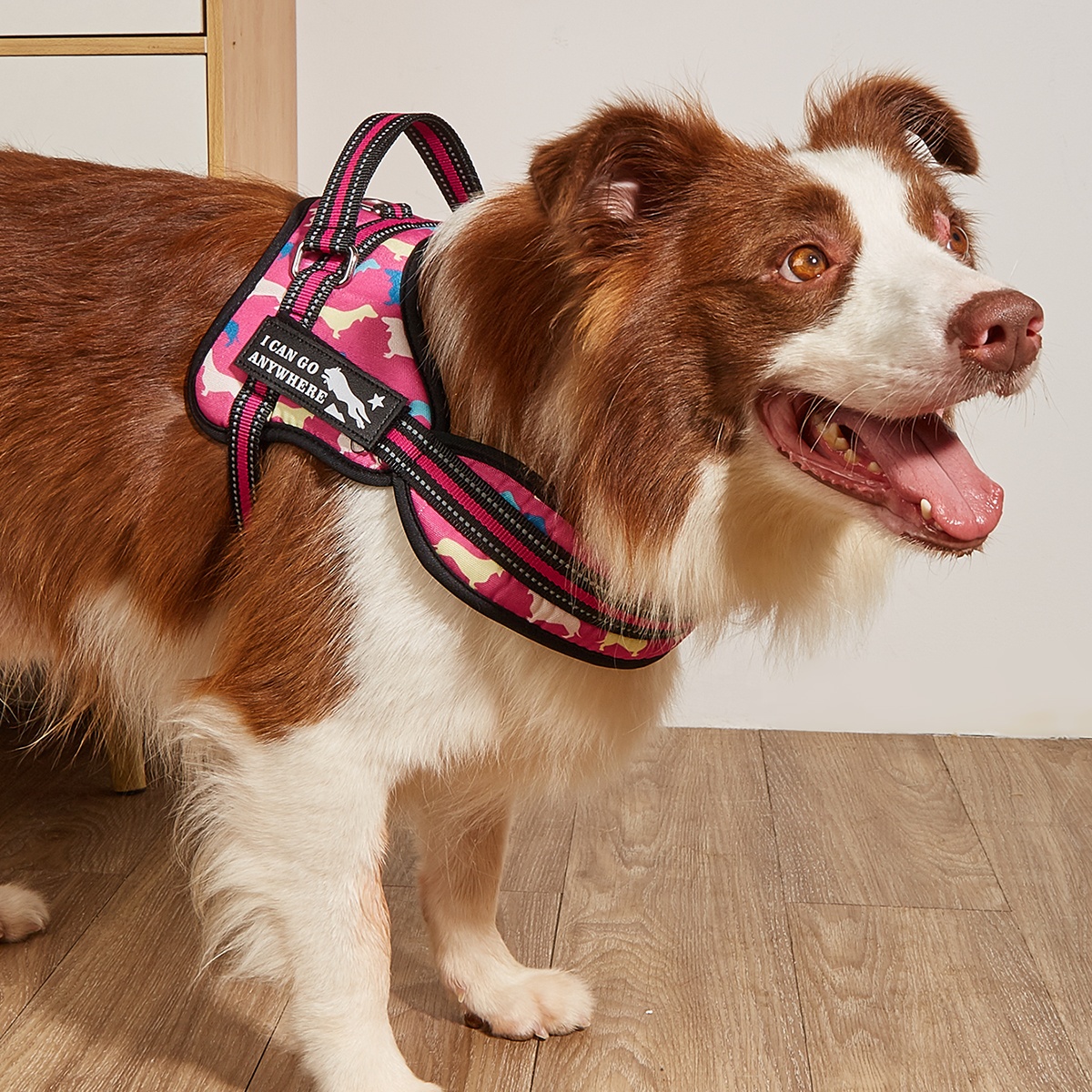 MIDEPET Wholesale Dog Harness Adjustable Soft Padded Luxury Designer Personalized Arnes Para Perros Dog Harness