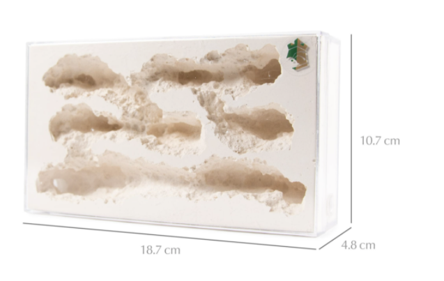 Ant Farm Ant Cave Home Gypsum Nest Table Decor Cavern