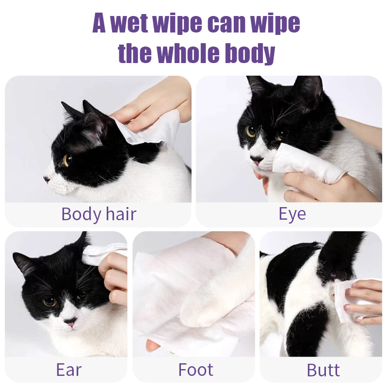 YiRong Innovative Pet Products Biodegradable Face Eye Ear Paw Teeth Cleannig Alcohol Free Wipes Tissues