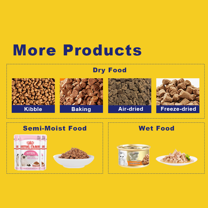 Explosive Models All Life Stage Dry Food for Cats Aafco Requirements Compliant