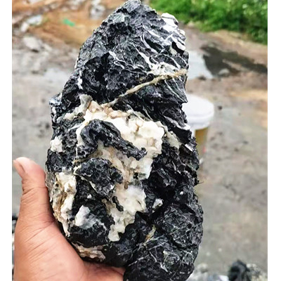 10-30cm acid washed seiryu dragon fish tank stone for for Paludarium Aquascape